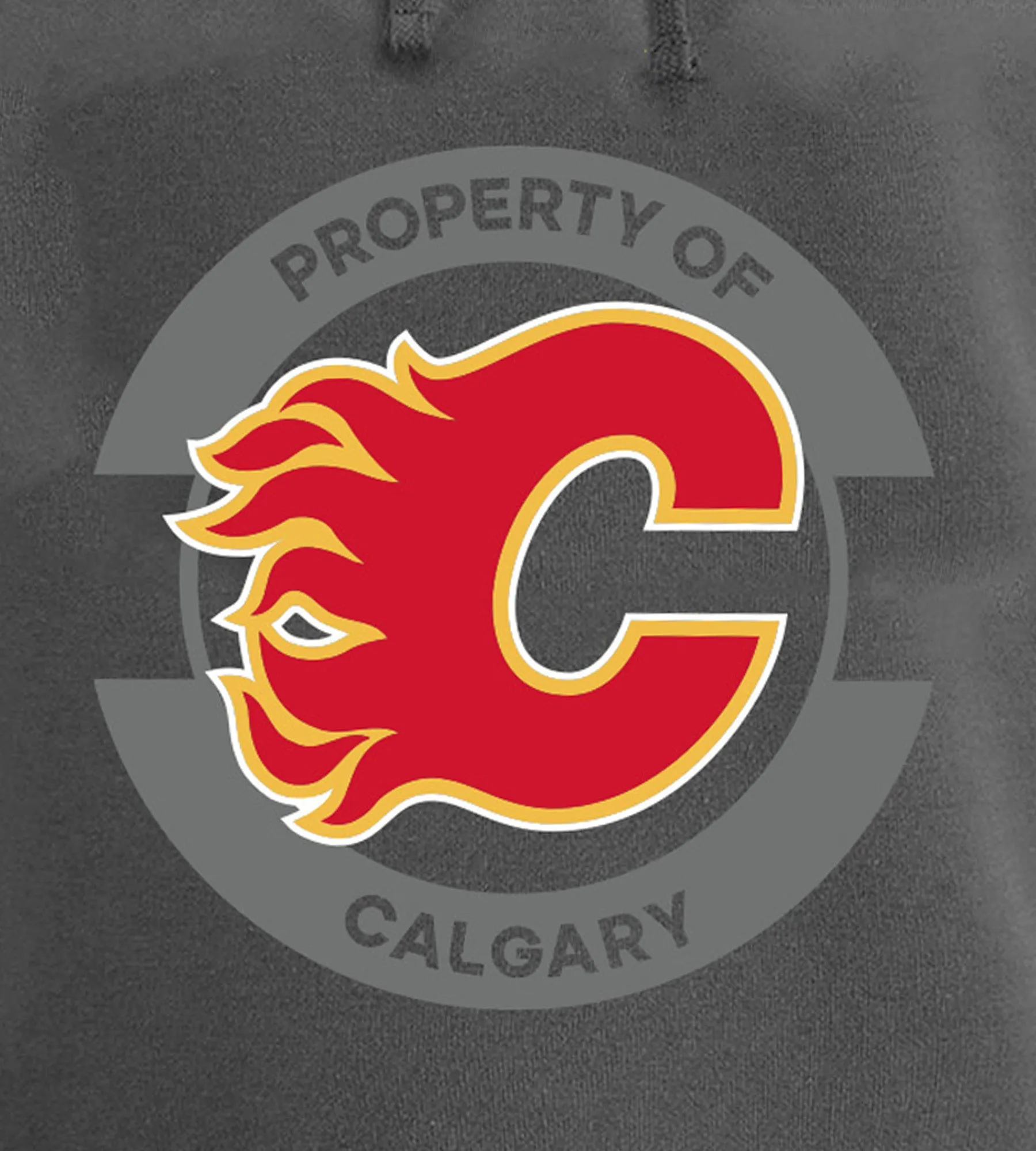 Calgary Flames NHL Hoodie sold by Mr. Big and Tall product image thumbnail 2