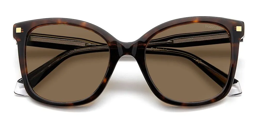 PLD 4151/S/X sold by Otticanet product image thumbnail 4