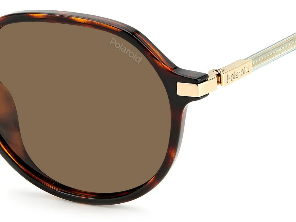 PLD 4149/G/S/X sold by Otticanet product image thumbnail 5