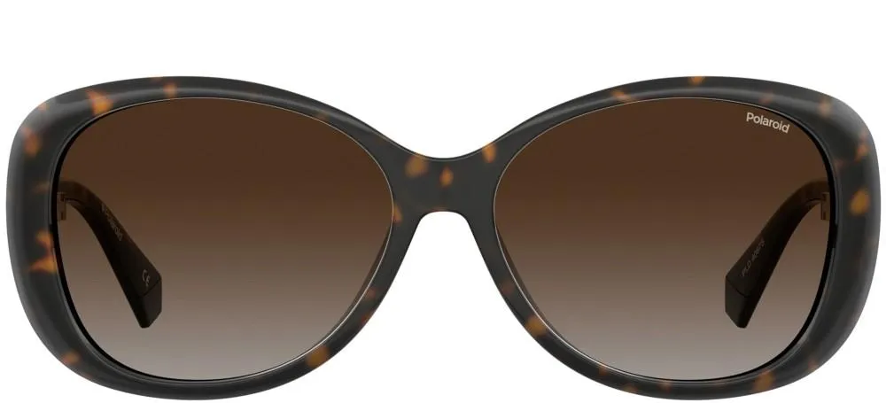 PLD 4097/S sold by Otticanet