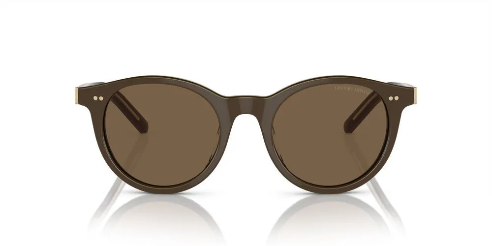 AR 8199U sold by Otticanet