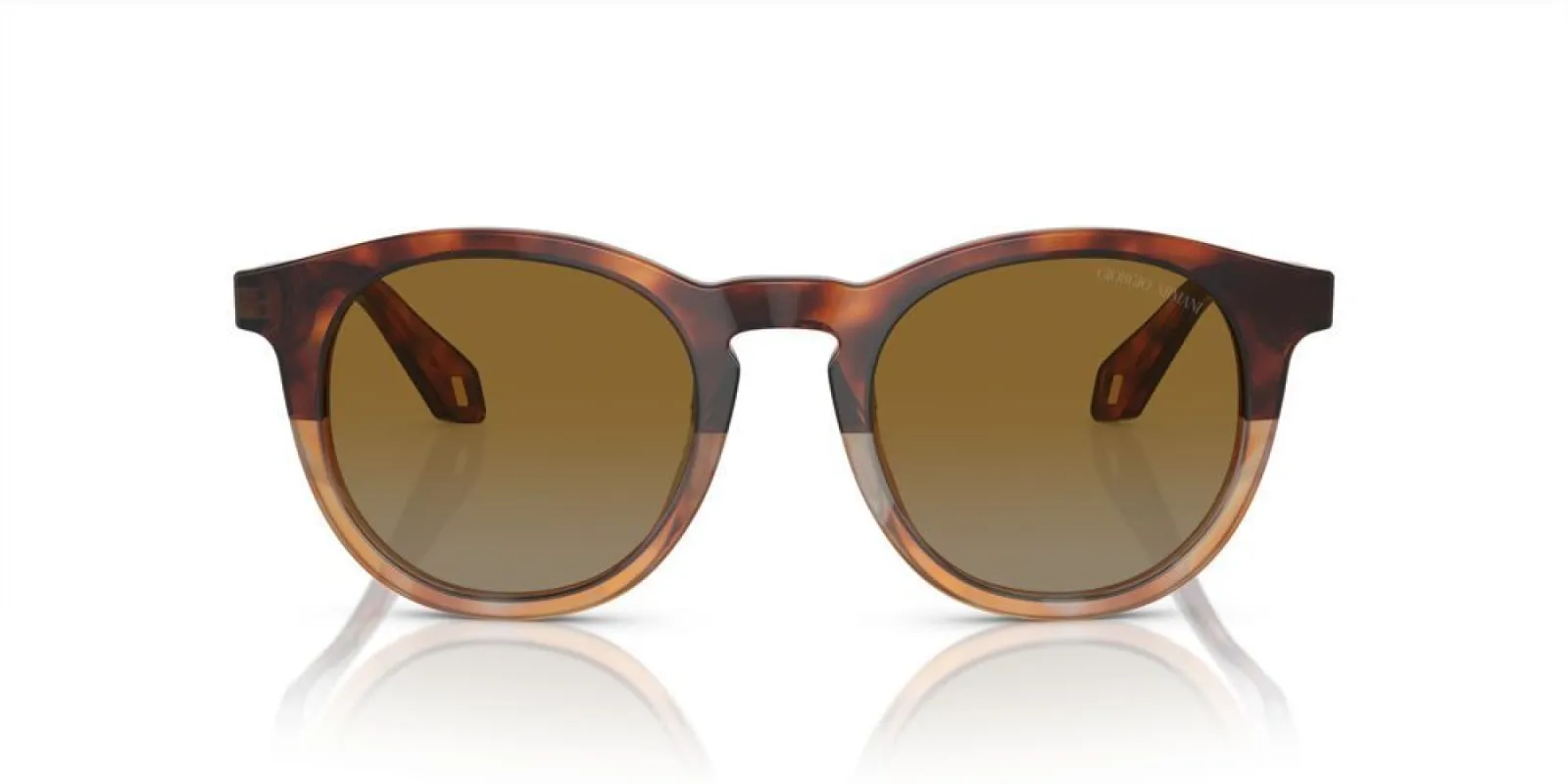 AR 8192 sold by Otticanet