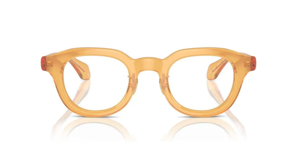 AR 7253 sold by Otticanet