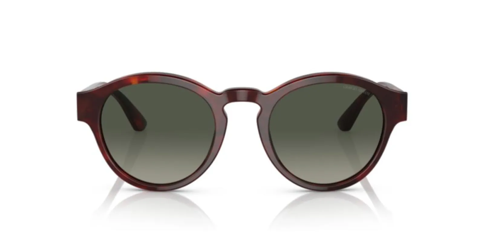 AR 8146 sold by Otticanet