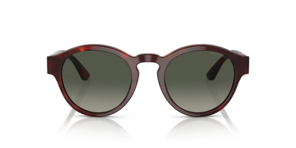 AR 8146 sold by Otticanet