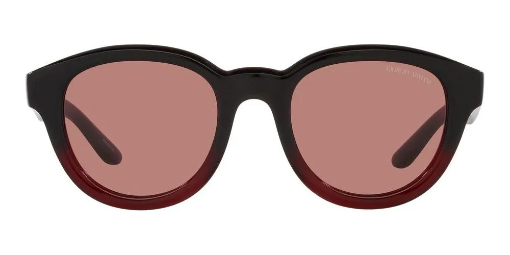 AR 8181 sold by Otticanet