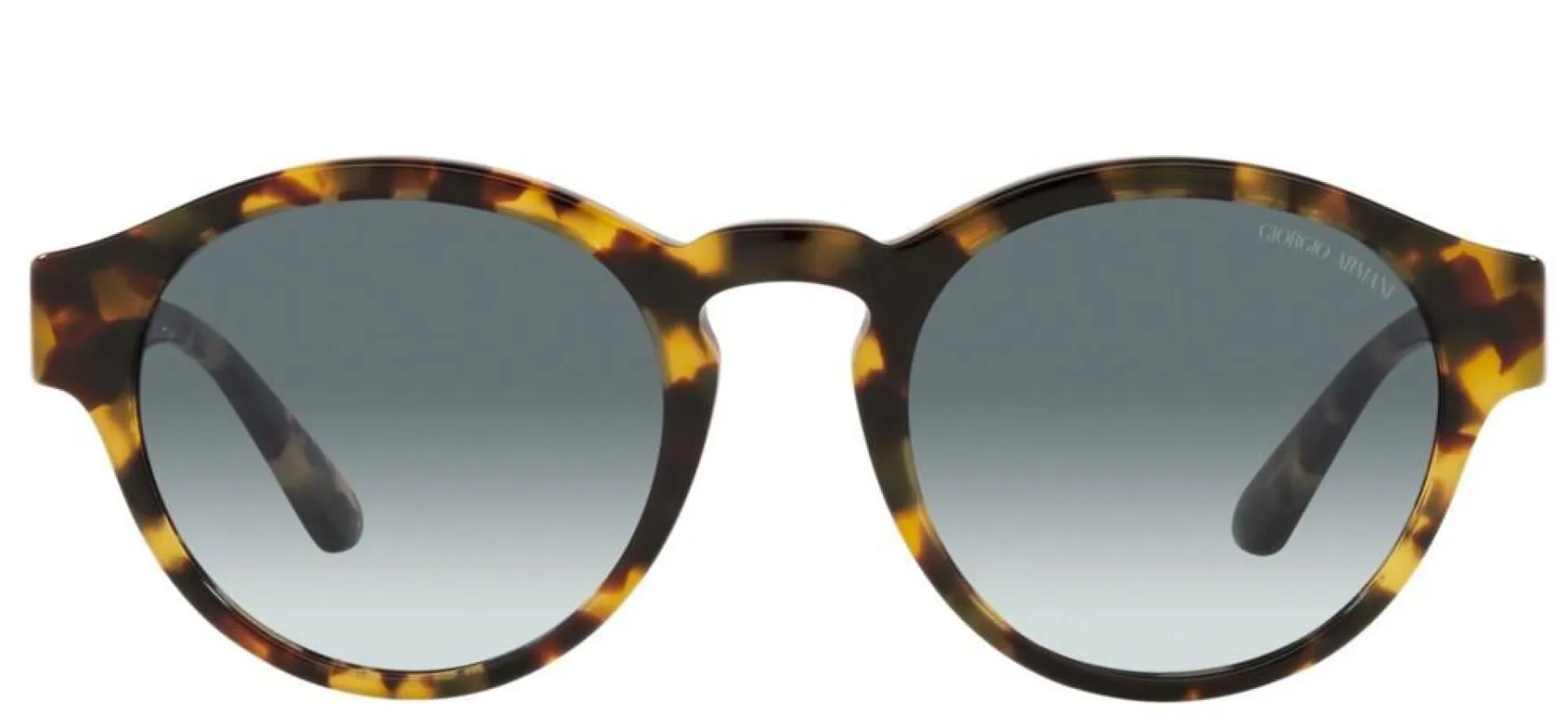 AR 8146 sold by Otticanet