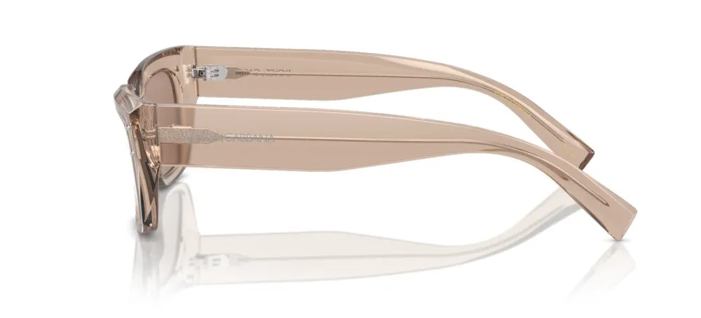 DG 4462 sold by Otticanet product image thumbnail 3