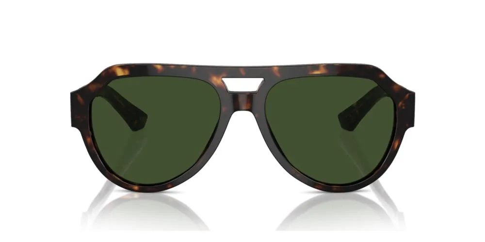 DG4466 sold by Otticanet