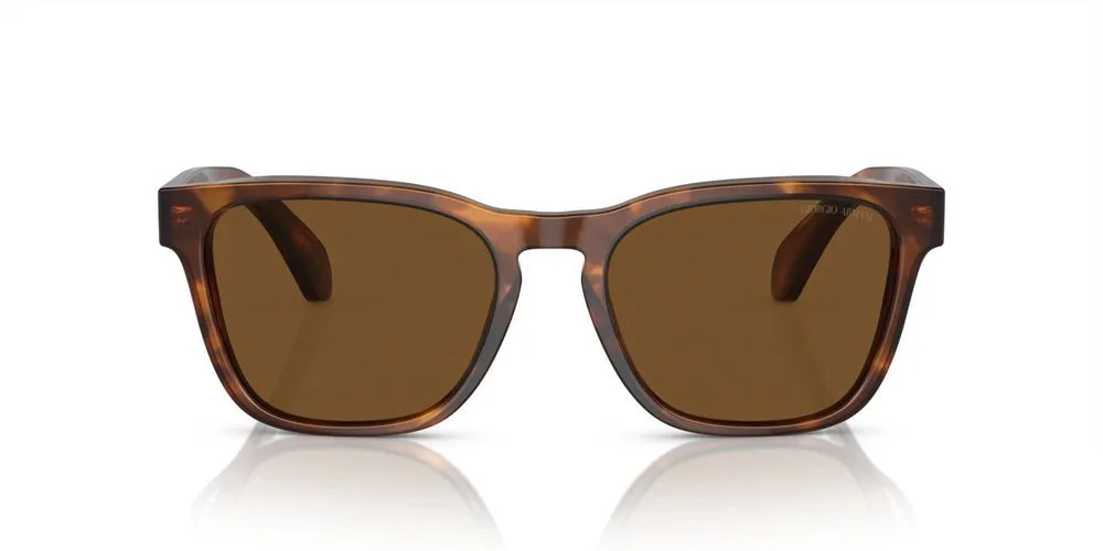 AR 8155 sold by Otticanet