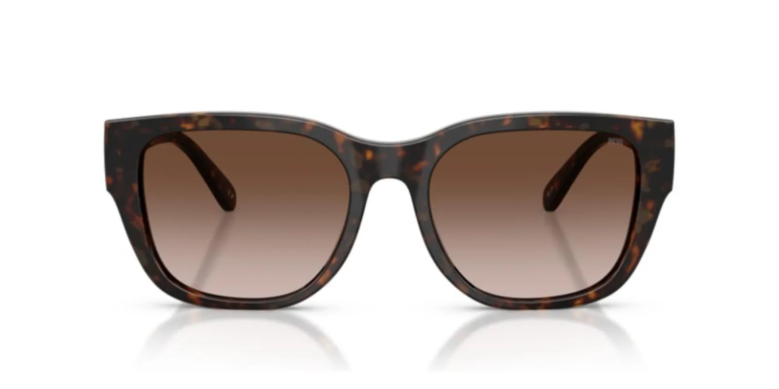 DL 2005 sold by Otticanet