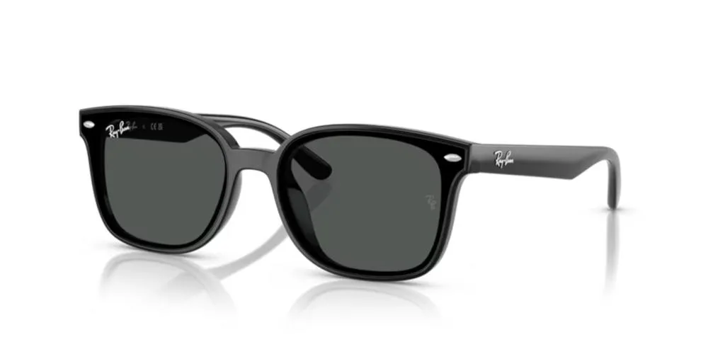 RB 4461D sold by Otticanet product image thumbnail 2