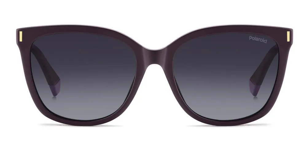 PLD 6229/CS sold by Otticanet