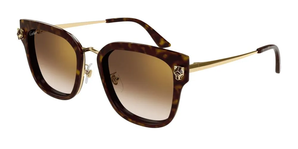 CT0509S sold by Otticanet product image thumbnail 2