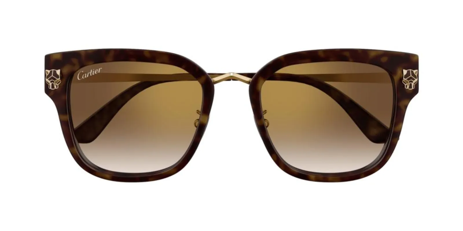 CT0509S sold by Otticanet