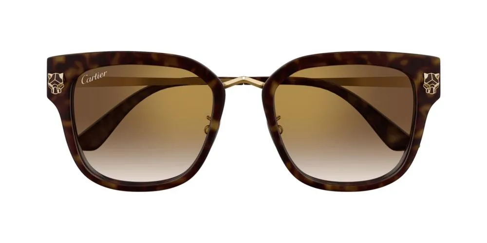 CT0509S sold by Otticanet