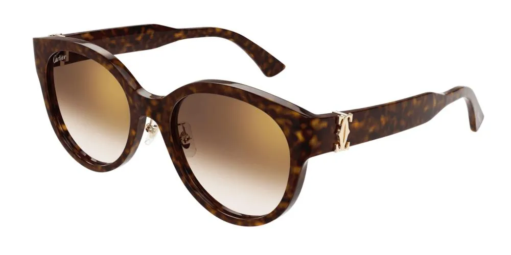 CT0510S sold by Otticanet product image thumbnail 2