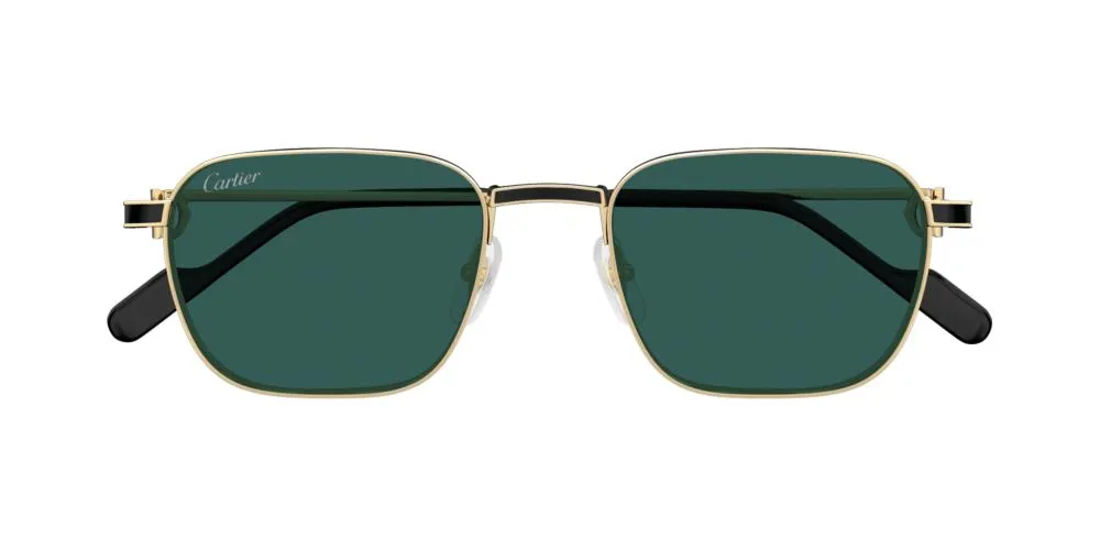 CT0497S sold by Otticanet