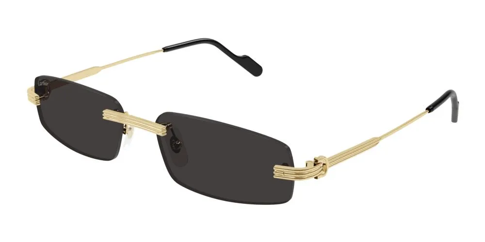 CT0535S sold by Otticanet product image thumbnail 2