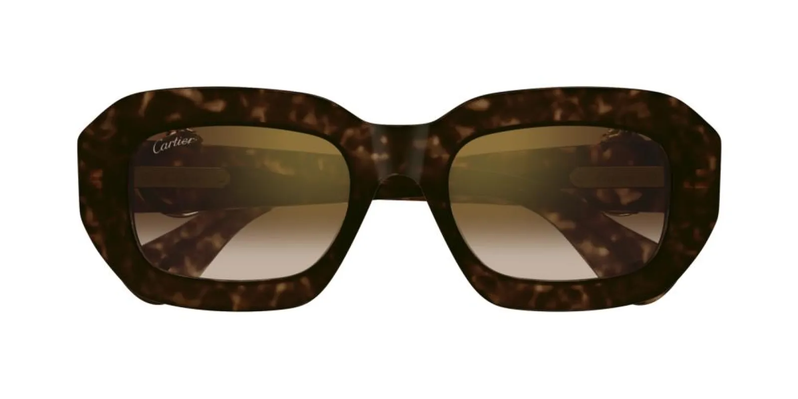 CT0546S sold by Otticanet