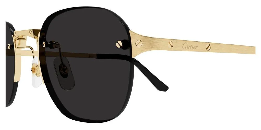 CT0459S sold by Otticanet product image thumbnail 4