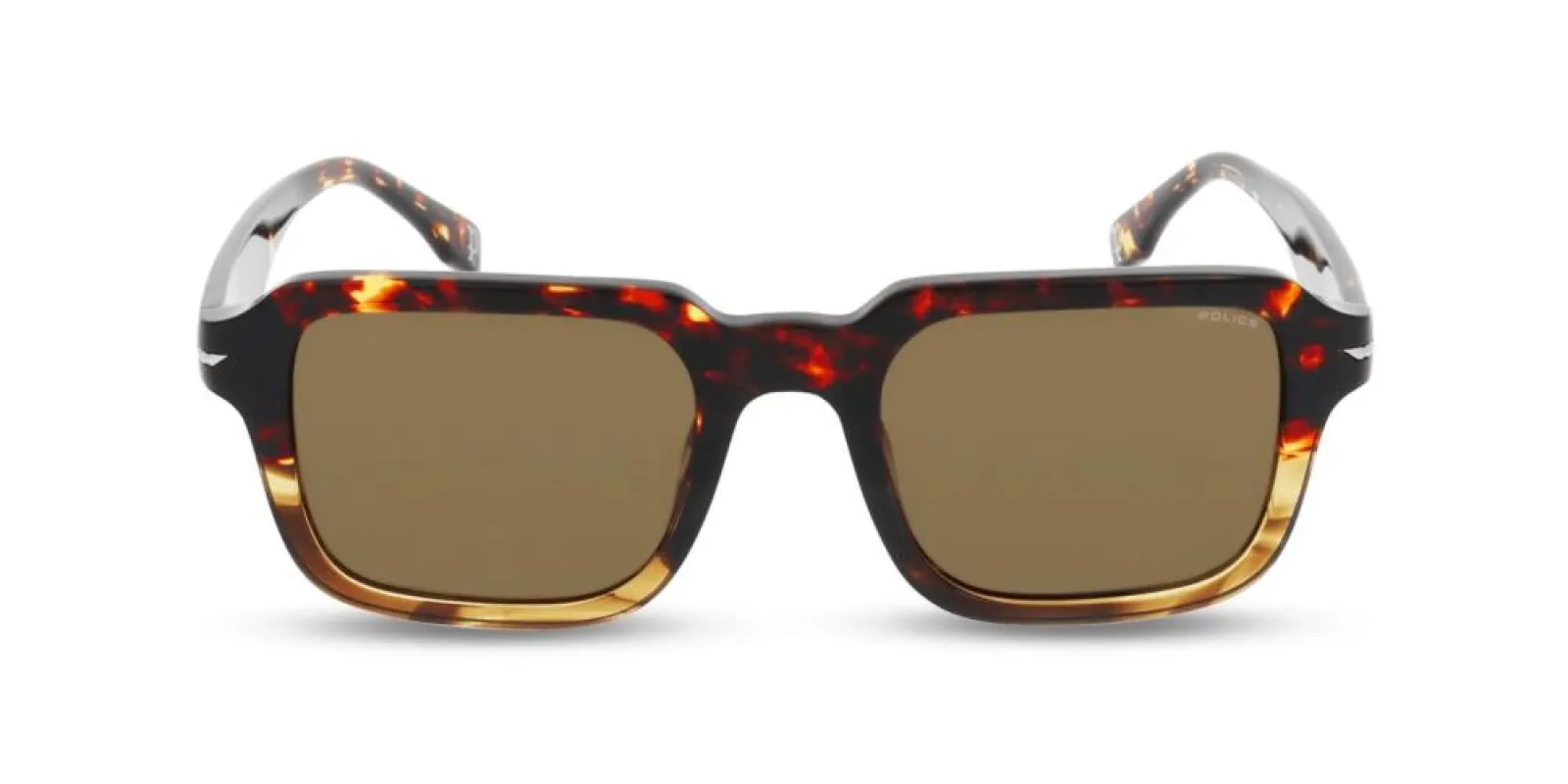 CHAMP 10 SPLN36E sold by Otticanet