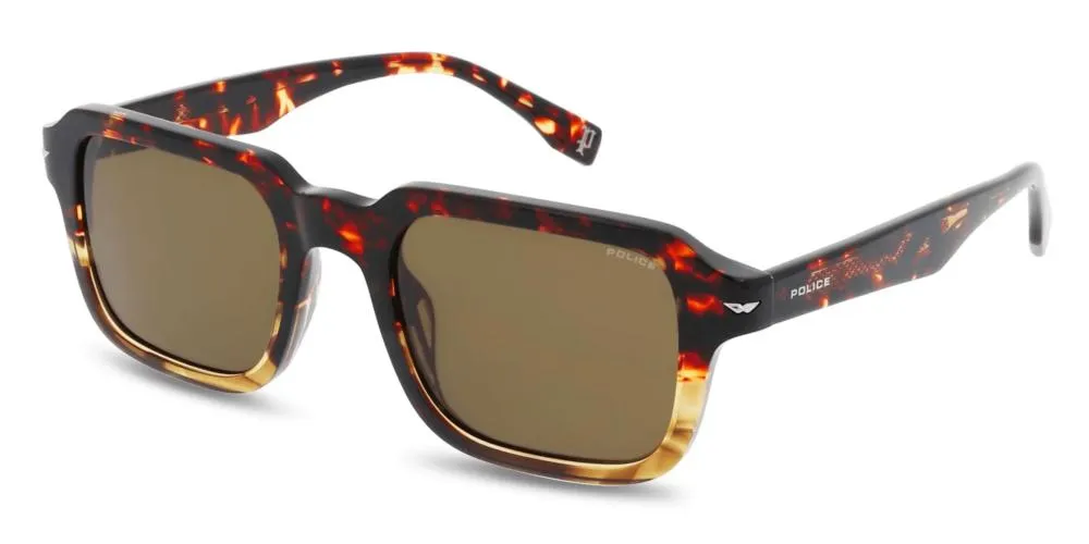 CHAMP 10 SPLN36E sold by Otticanet product image thumbnail 2