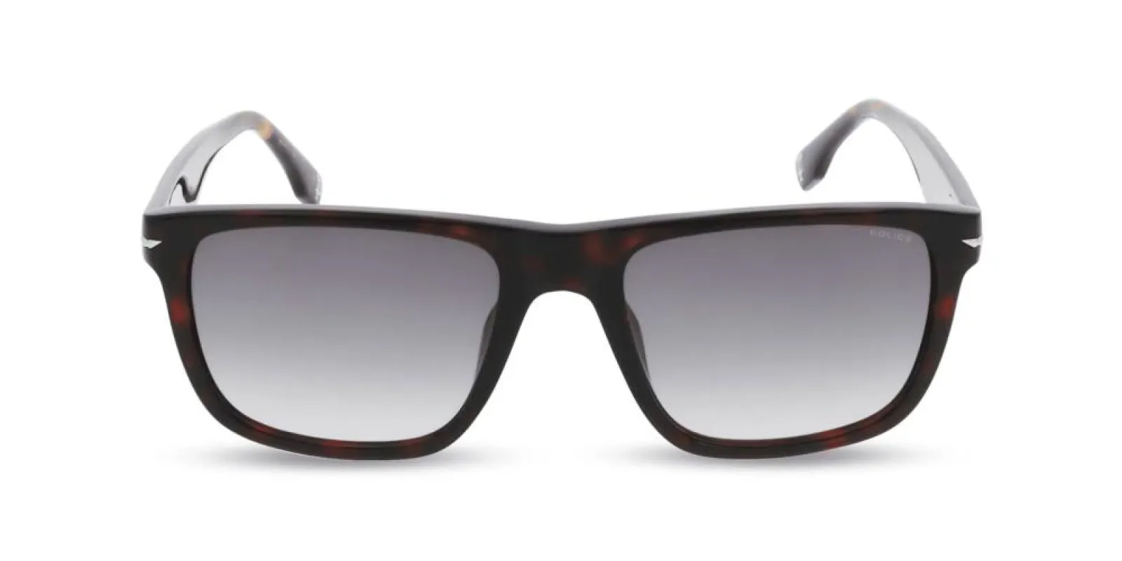 CHAMP 14 SPLQ83 sold by Otticanet