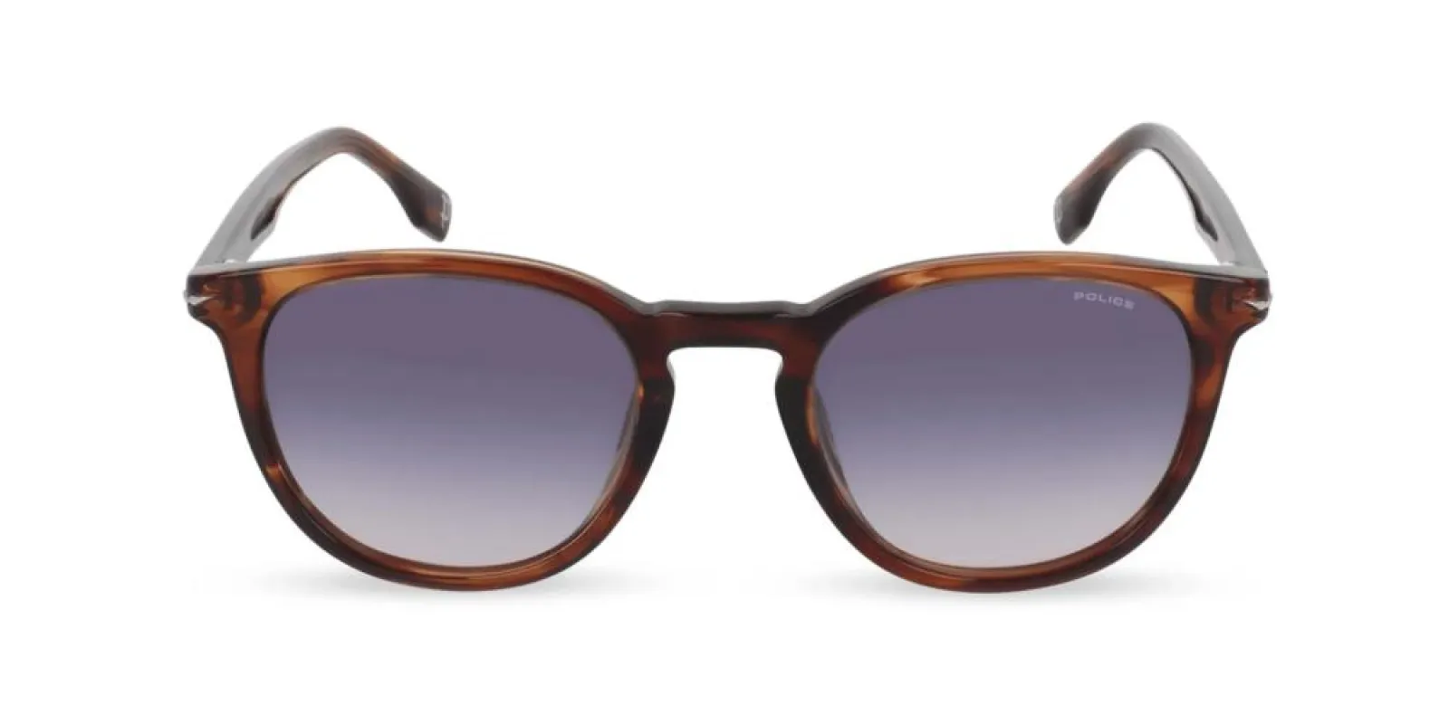 CHAMP 13 SPLQ82 sold by Otticanet