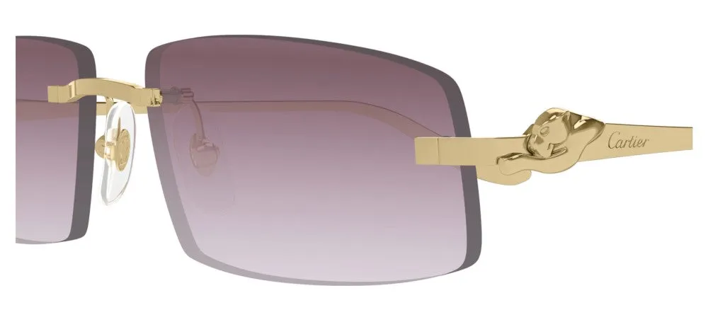 CT0505S sold by Otticanet product image thumbnail 3