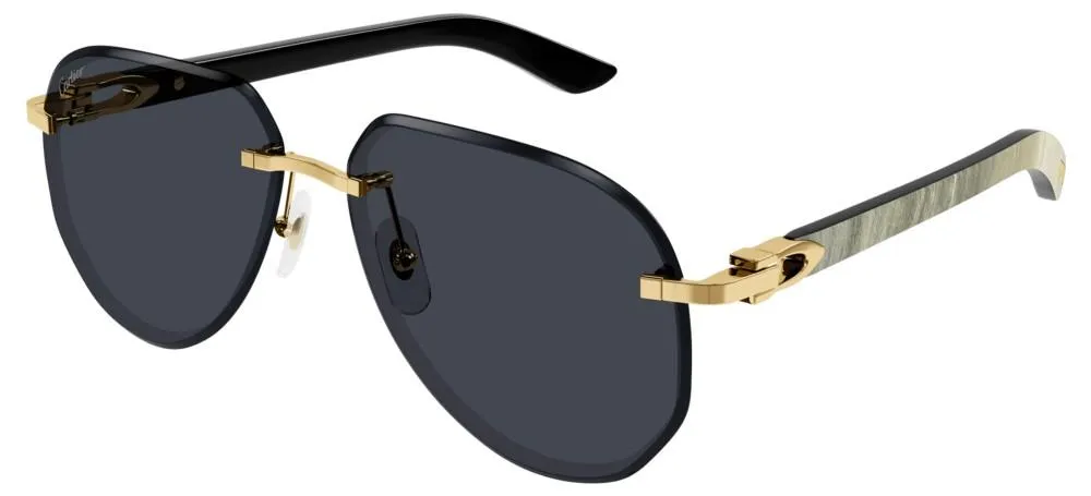 CT0440S sold by Otticanet product image thumbnail 2