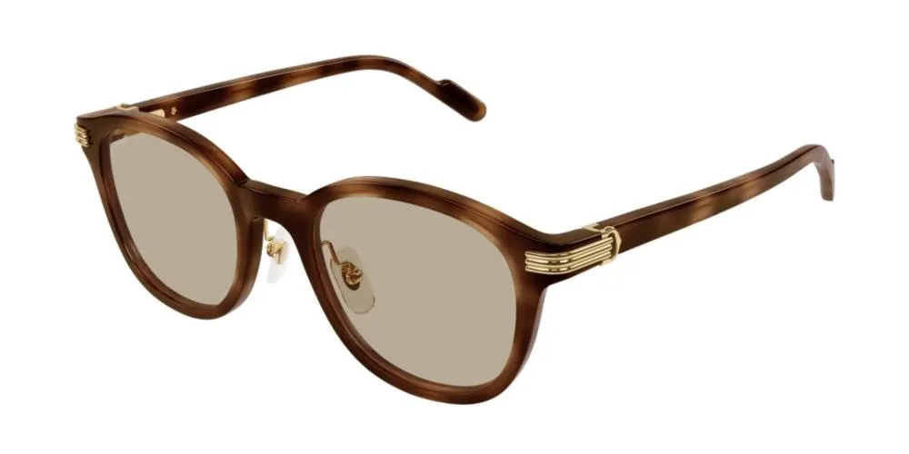 CT0302S sold by Otticanet product image thumbnail 2