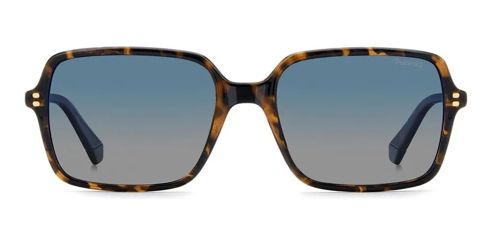 PLD 6247/S sold by Otticanet