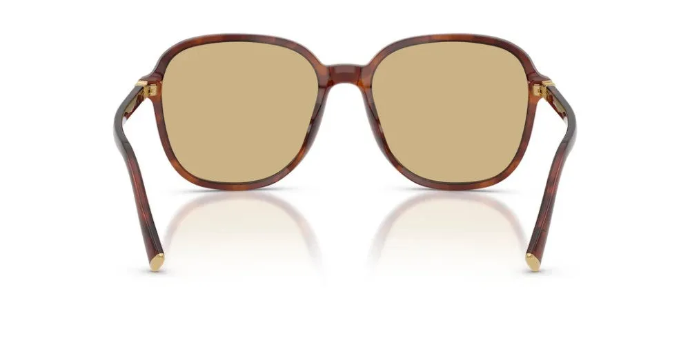 0MU B01S sold by Otticanet product image thumbnail 3