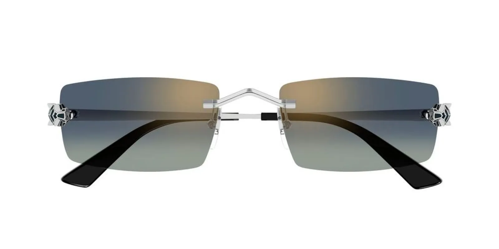 CT0598S sold by Otticanet