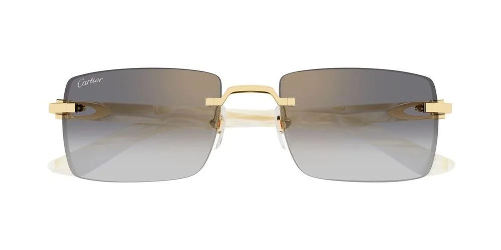 CT0579S sold by Otticanet