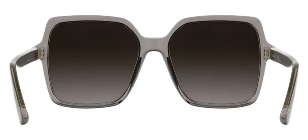 CK25537S sold by Otticanet product image thumbnail 4