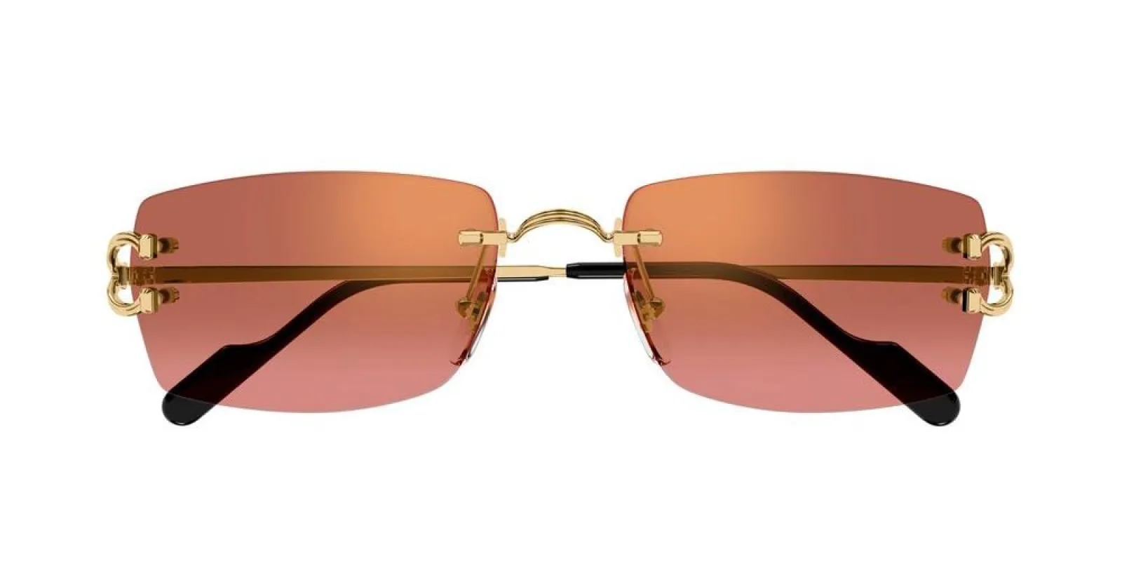 CT0550S sold by Otticanet