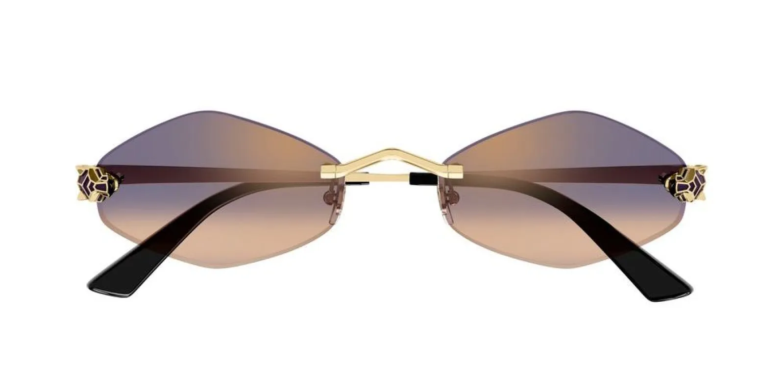 CT0433S sold by Otticanet