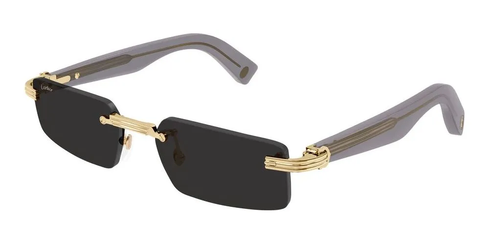 CT0537S sold by Otticanet product image thumbnail 2