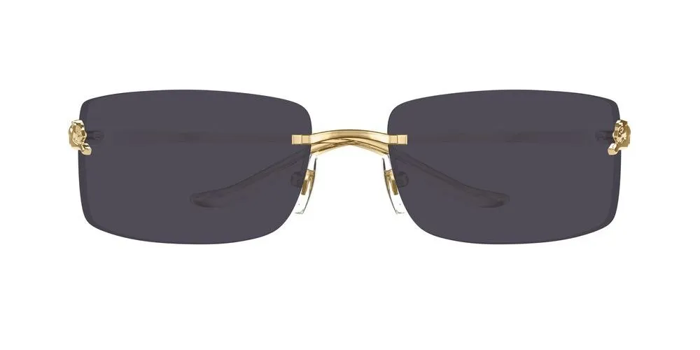 CT0503S sold by Otticanet