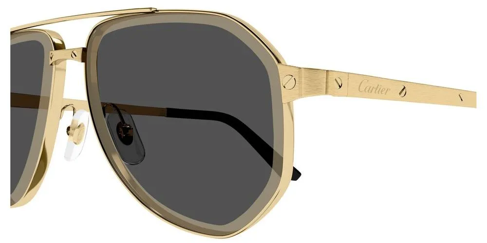 CT0461S sold by Otticanet product image thumbnail 3