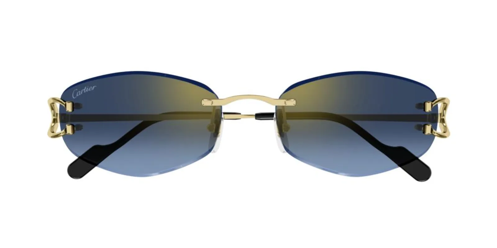 CT0467S sold by Otticanet