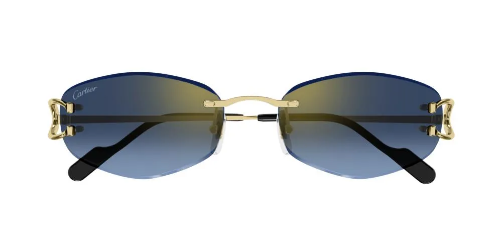 CT0467S sold by Otticanet