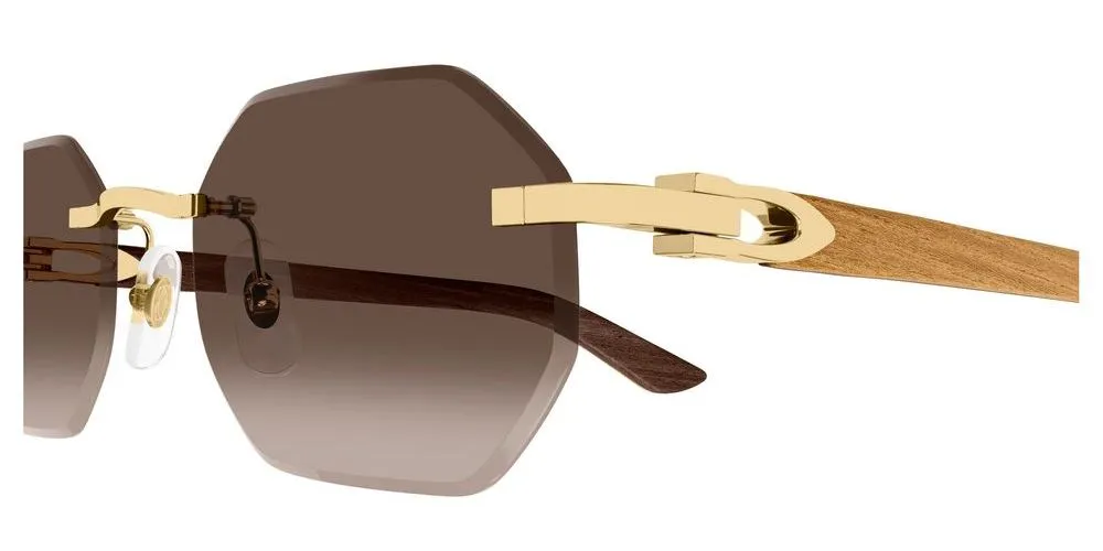 CT0439S sold by Otticanet product image thumbnail 3