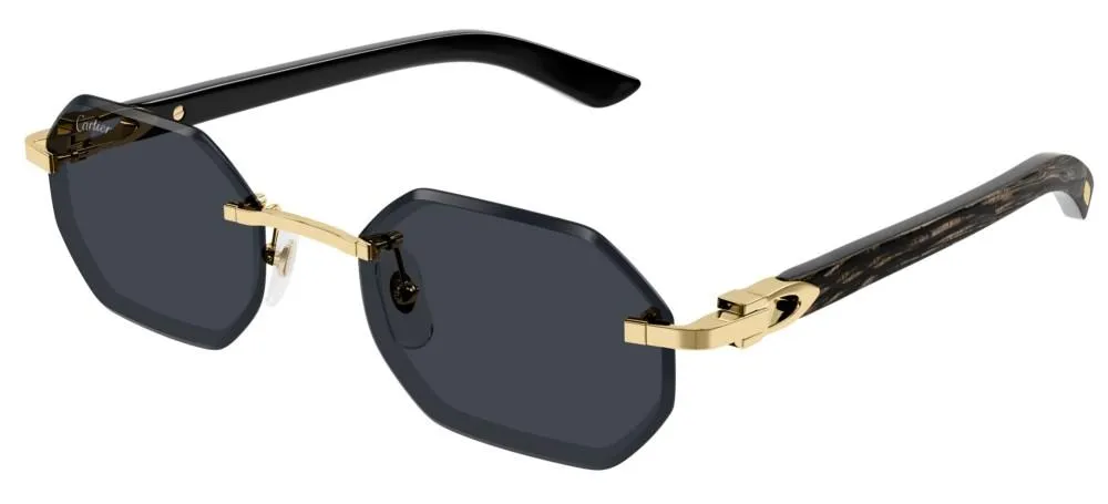 CT0439S sold by Otticanet product image thumbnail 2