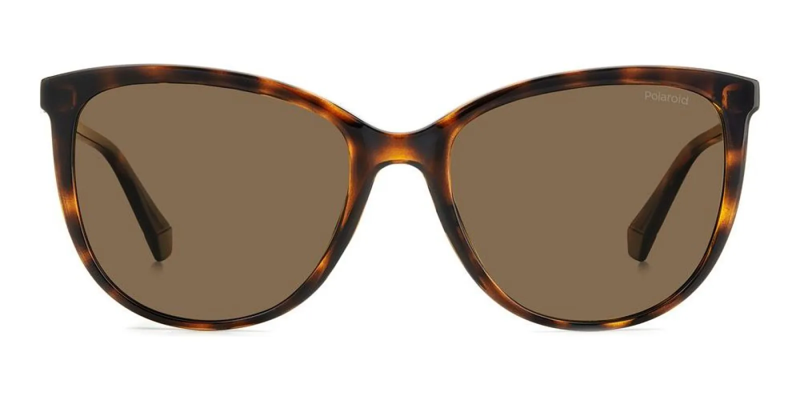 PLD 4138/S sold by Otticanet