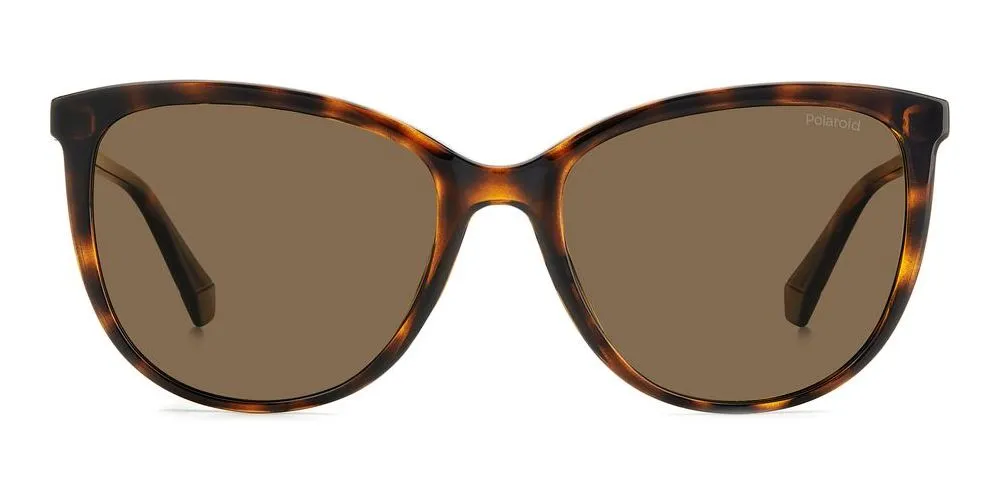 PLD 4138/S sold by Otticanet