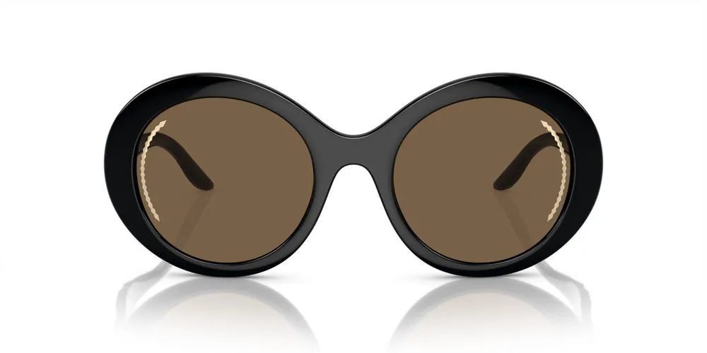 AR 8204 sold by Otticanet
