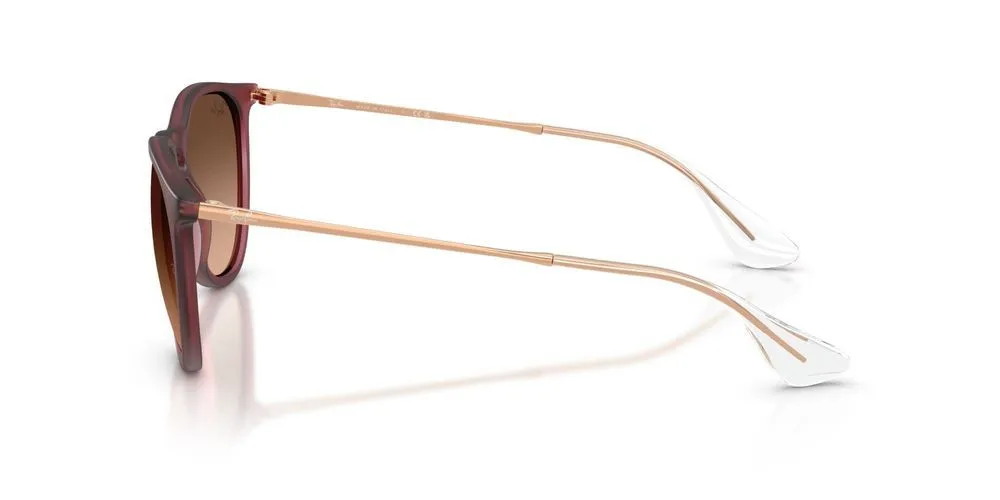 ERIKA RB 4171 sold by Otticanet product image thumbnail 4